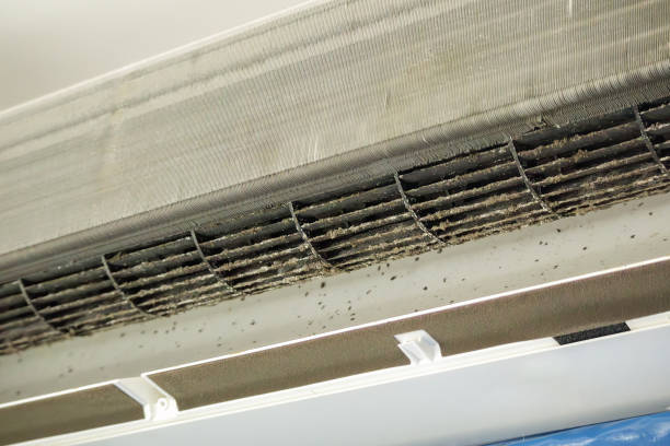 Best Home Air Vent Cleaning  in On Top Of The World Designated Place, FL